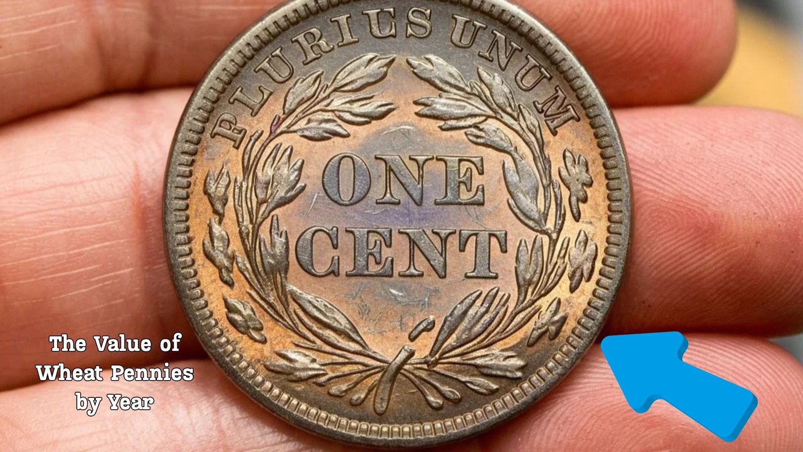 Wheat Pennies